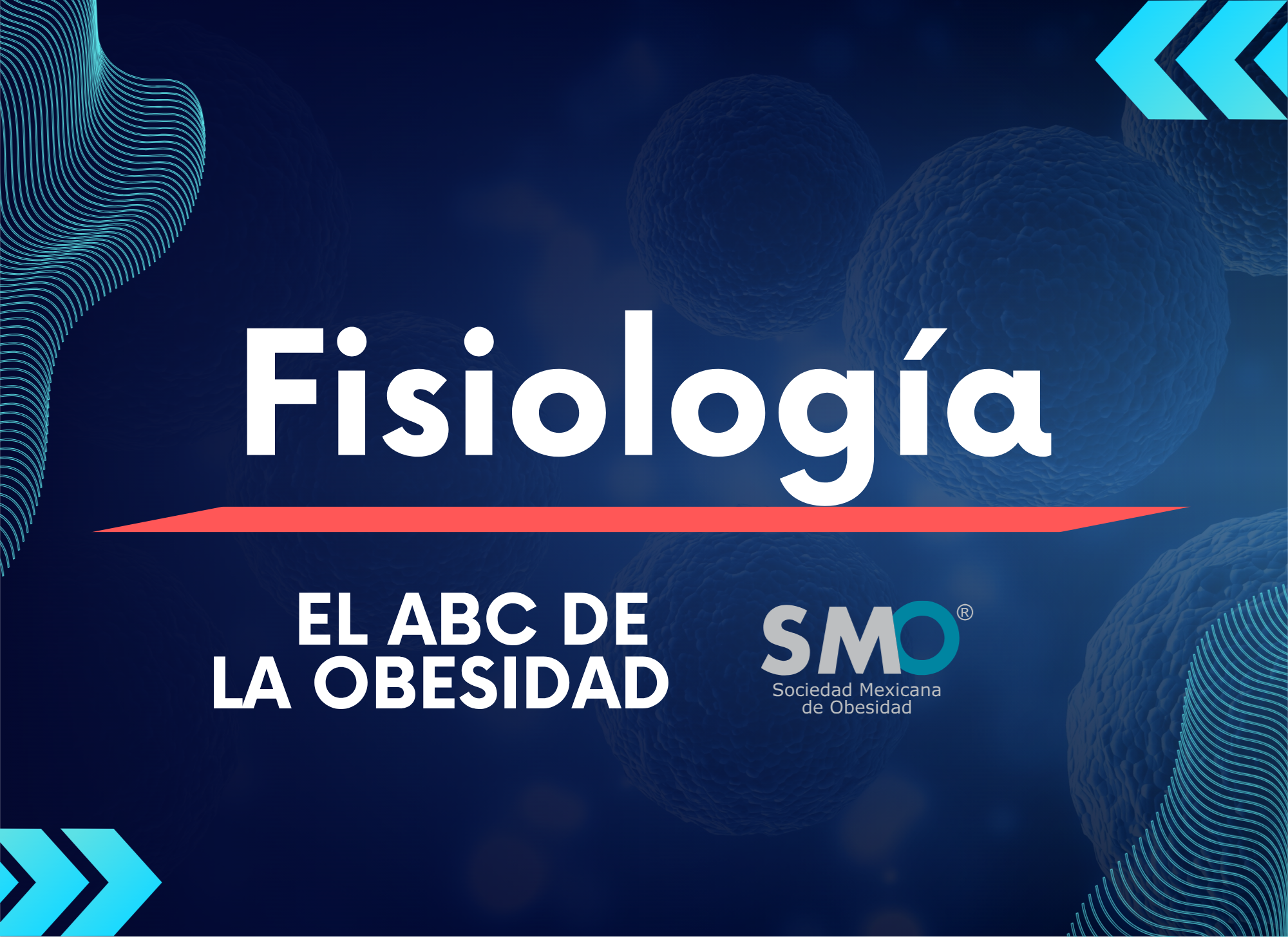 Fisiología